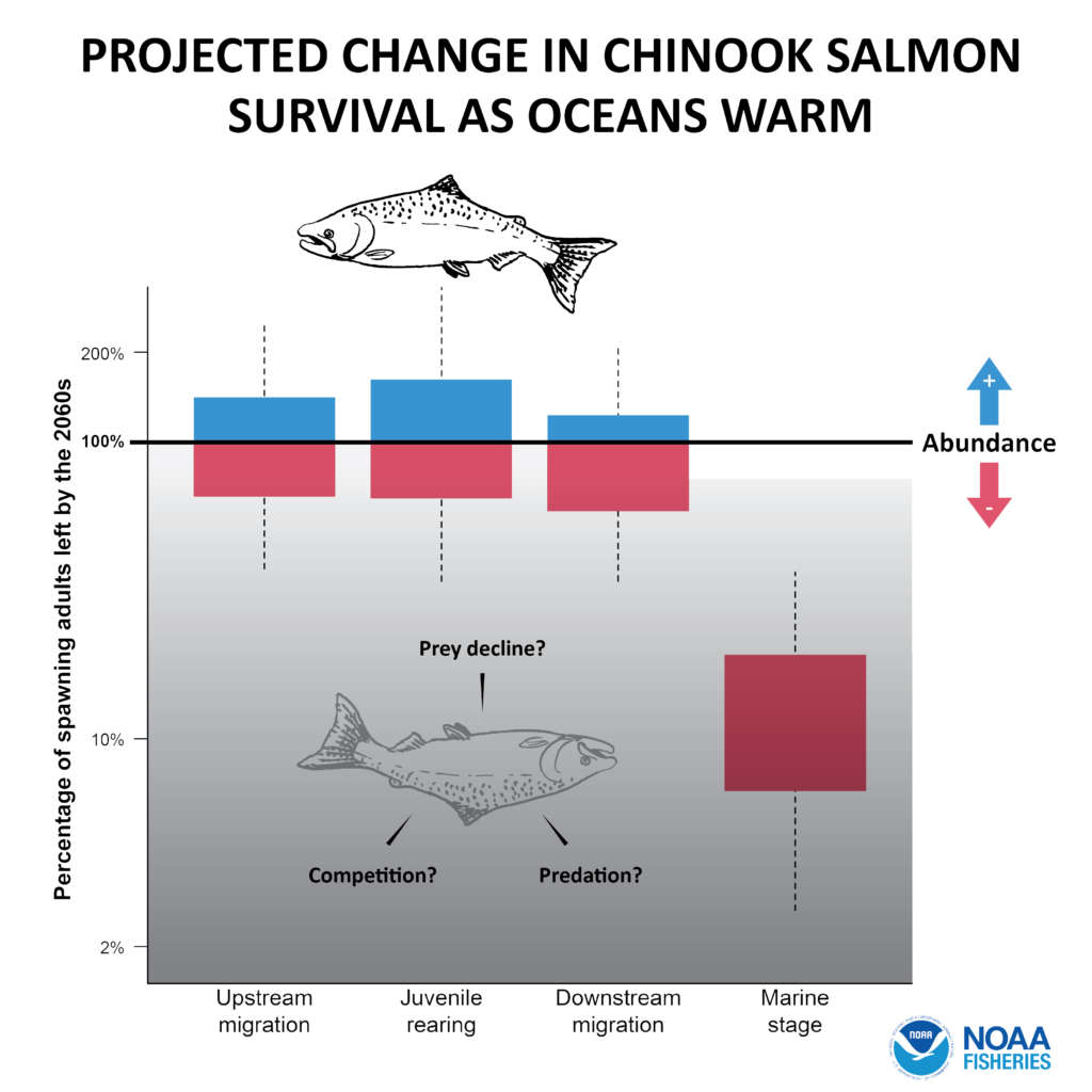 Unsettling NOAA Research Says Warming Ocean Poses Risk Of Extinction