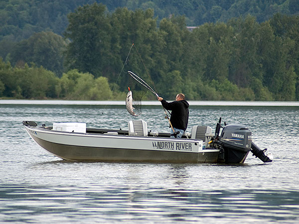 Oregon, Washington Announce Columbia River Fishing Seasons, Regulations For  Summer Chinook, Fall Chinook, Steelhead; Reduced Bag Limits – Columbia  Basin Bulletin
